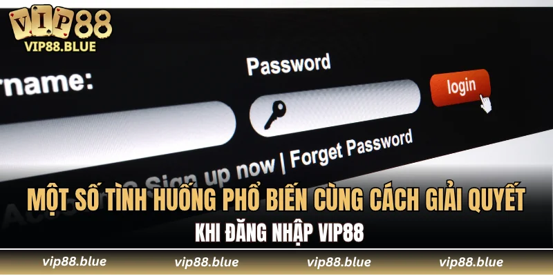 Một số tình huống phổ biến cùng cách giải quyết khi đăng nhập VIP88
