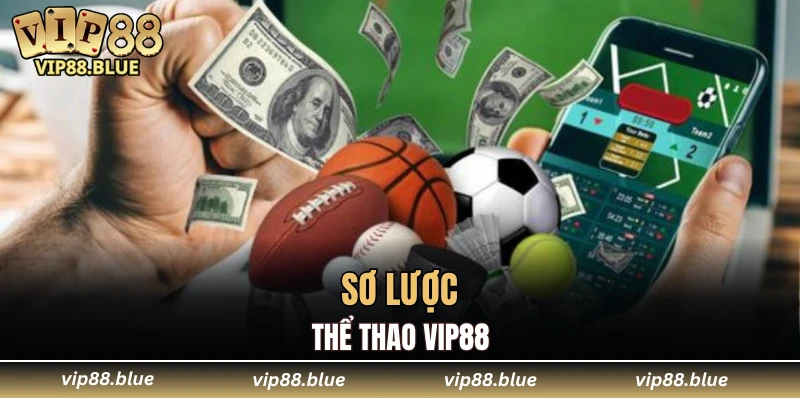 Thể Thao VIP88 4 Sơ lược thể thao VIP88