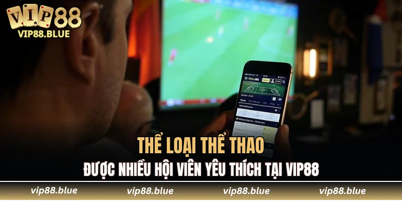 Thể Thao VIP88 6 Thể loại thể thao được nhiều hội viên yêu thích tại VIP88