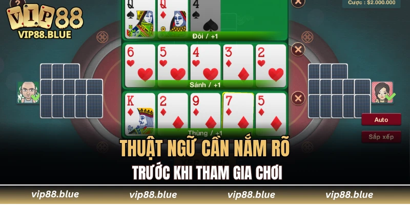 Đá Gà Campuchia - Trận Đấu Không Thể Bỏ Qua Tại VIP88 5 Thuật ngữ cần nắm rõ trước khi tham gia chơi