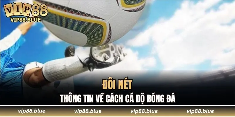 Đá Gà Campuchia - Trận Đấu Không Thể Bỏ Qua Tại VIP88 5 Tìm hiểu về cách cá độ bóng đá chuẩn